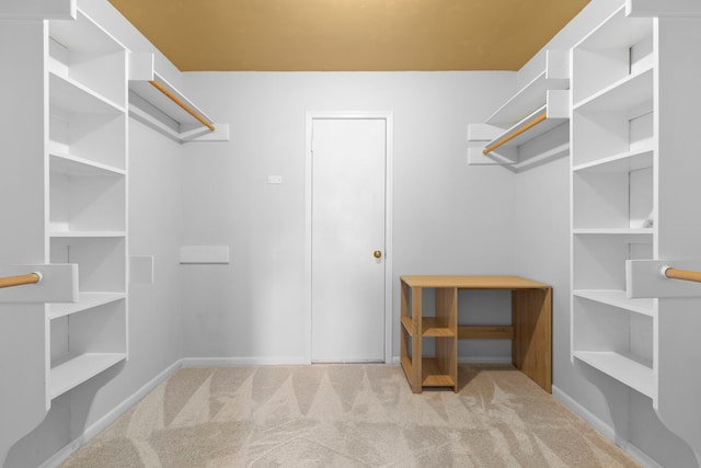 spacious closet with light colored carpet