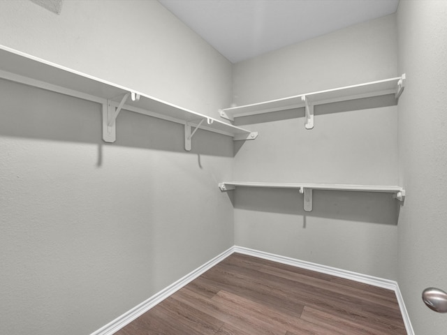 spacious closet with dark wood-type flooring