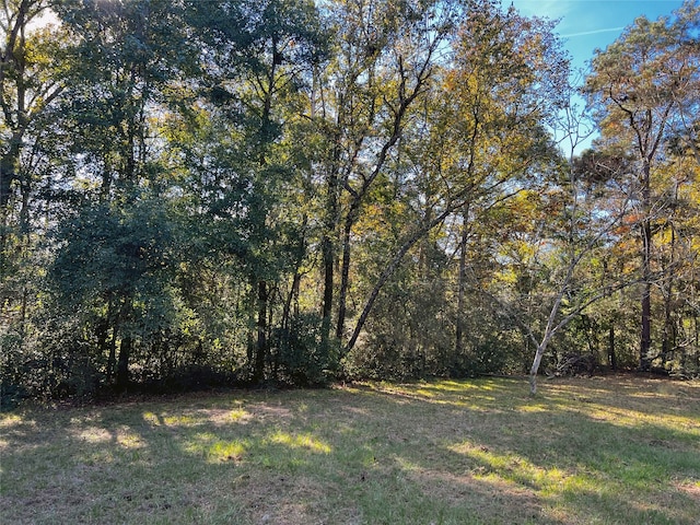 172 Walters St, Livingston TX, 77351 land for sale