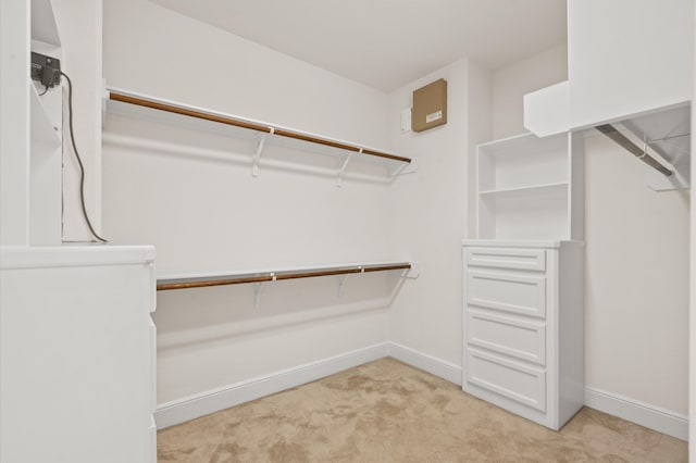 walk in closet featuring carpet flooring