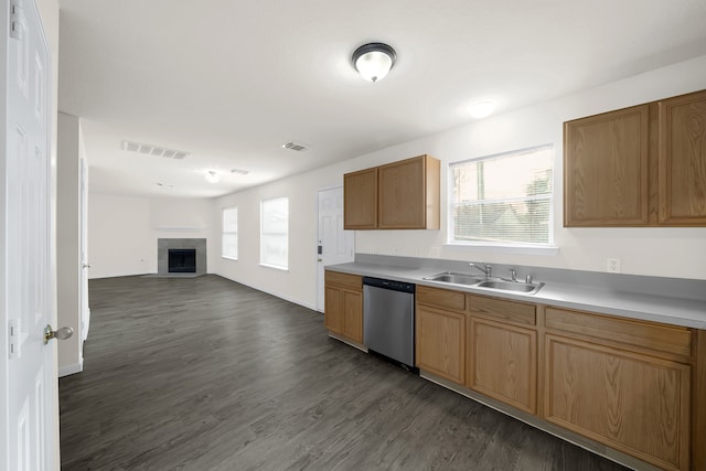 kitchen with sink, stainless steel dishwasher, and dark hardwood / wood-style flooring