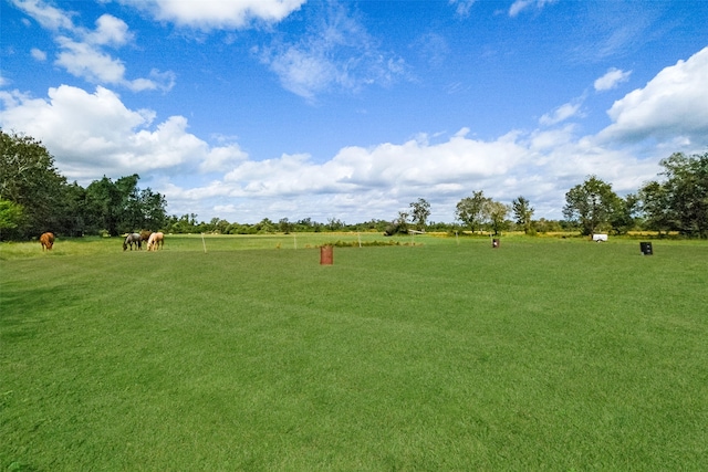 view of property's community with a lawn and a rural view