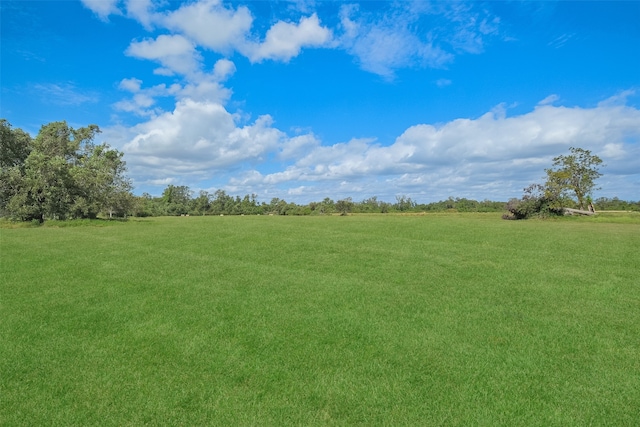 view of yard with a rural view