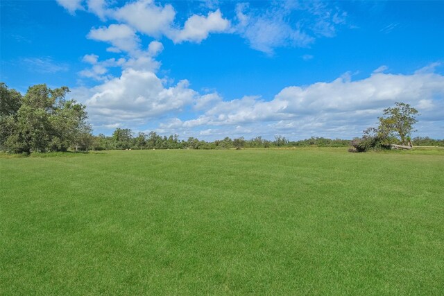 10723 Fm 442nd Rd, Boling, TX 77420 - view of green lawn with a rural view