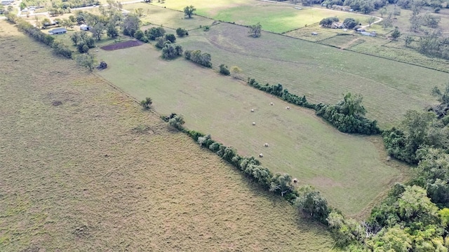 10723 Fm 442nd Rd, Boling, TX 77420 - aerial view of sparsely populated area