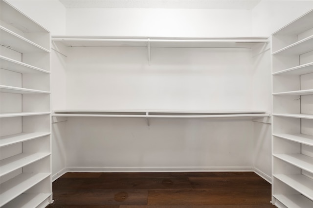 spacious closet featuring dark hardwood / wood-style floors