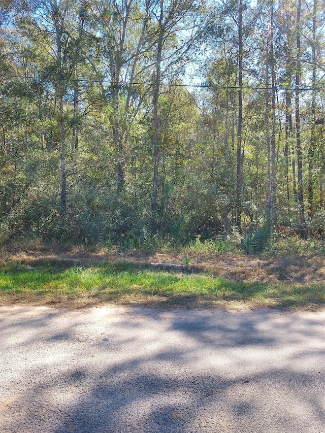 Listing photo 2 for TBD County Road 349, Cleveland TX 77327