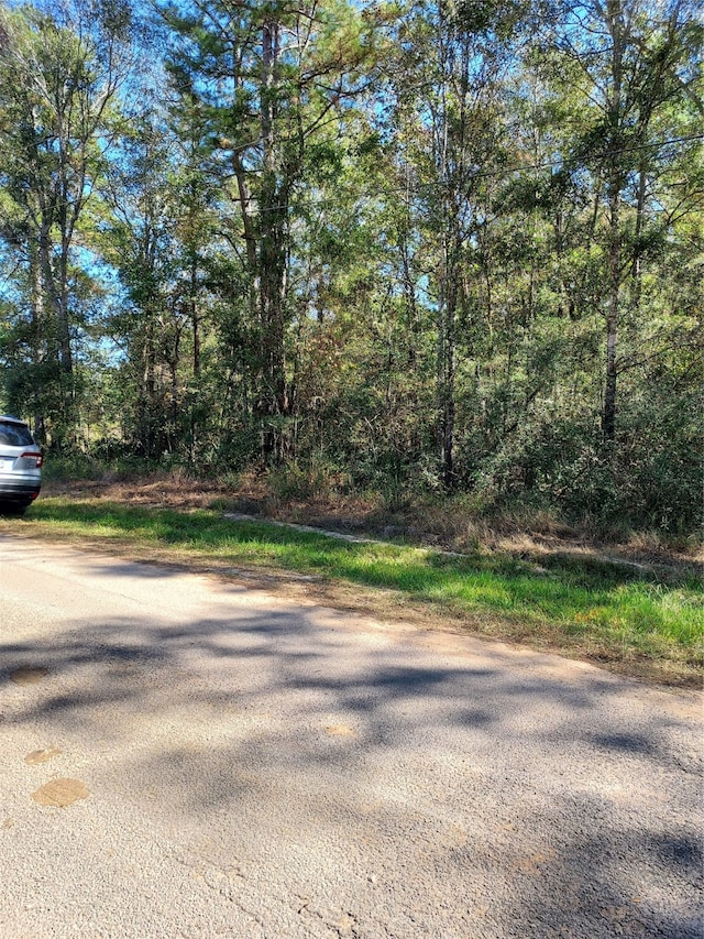 Listing photo 3 for TBD County Road 349, Cleveland TX 77327