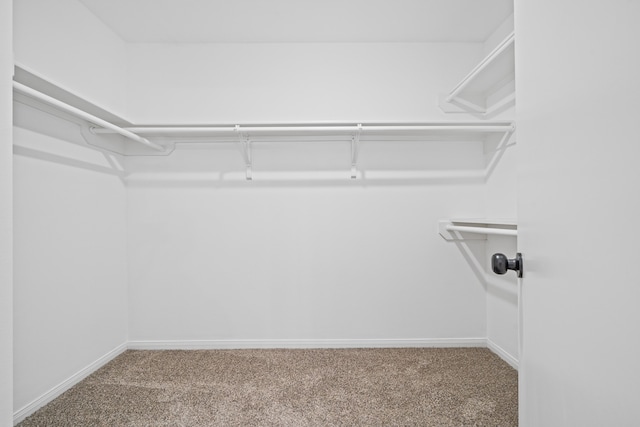 spacious closet with carpet floors