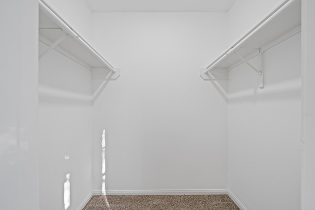 walk in closet with carpet