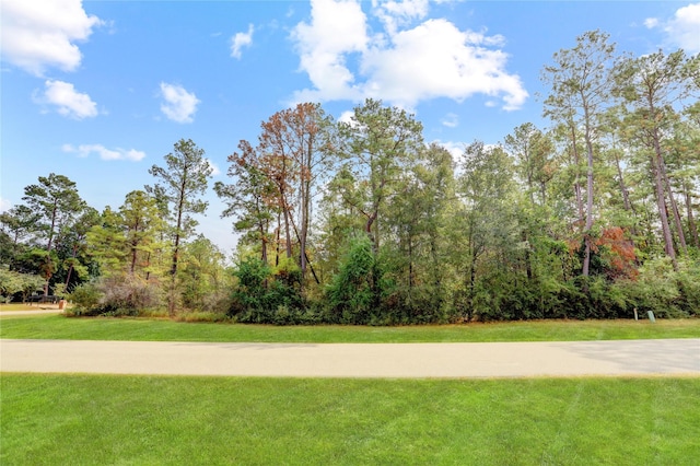 27522 Buena Way, Spring, TX 77386