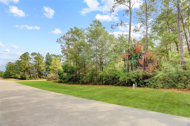 27522 Buena Way, Spring, TX 77386