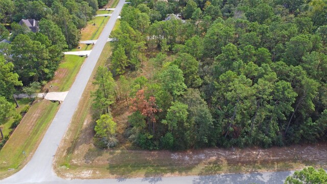27522 Buena Way, Spring, TX 77386