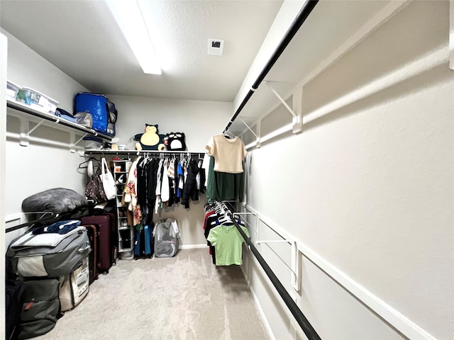 spacious closet with carpet