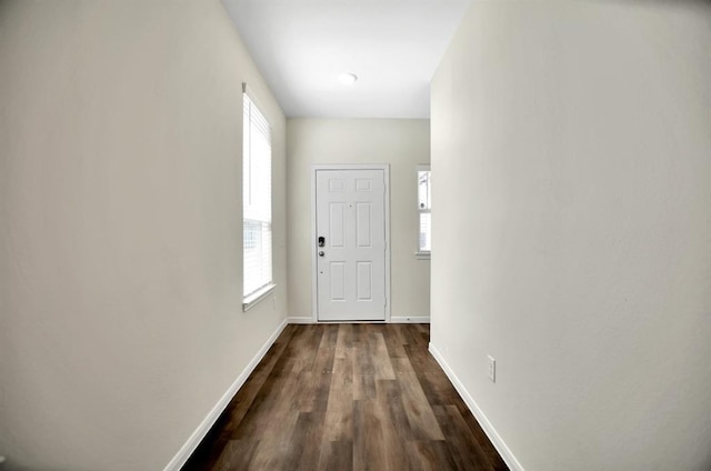 hall featuring dark wood-type flooring