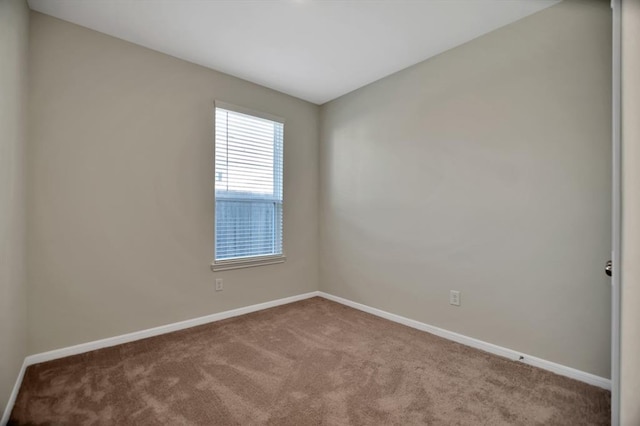 unfurnished room featuring carpet floors