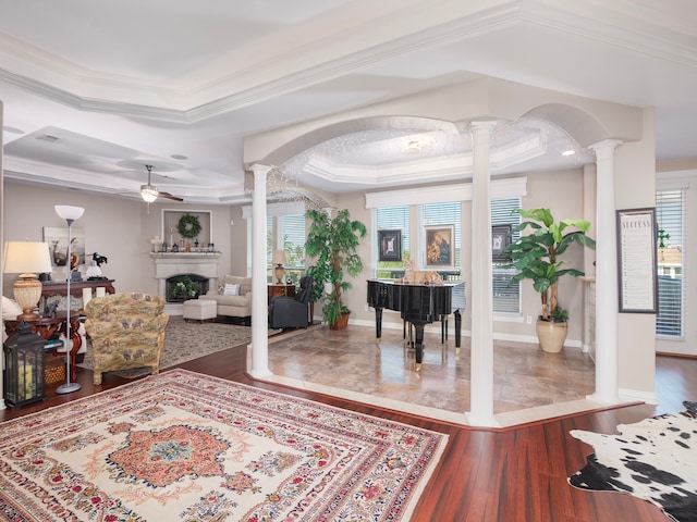 foyer entrance with a healthy amount of sunlight, a tray ceiling, and hardwood / wood-style floors