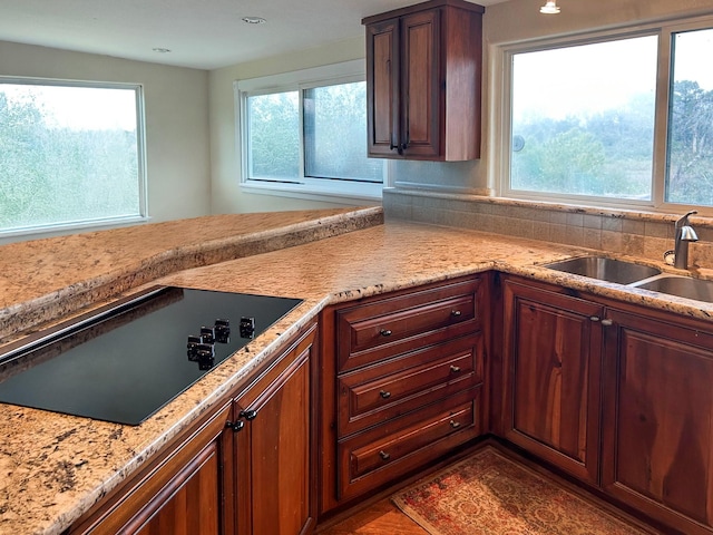 kitchen with plenty of natural light, a sink, and black electric cooktop