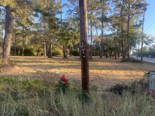1515 Fm 517 E, Dickinson, TX 77539 - photo 3
