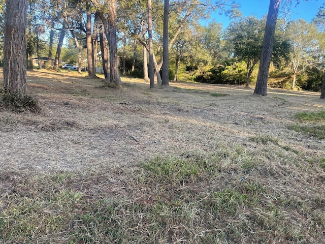1515 Fm 517 E, Dickinson, TX 77539 - photo 4