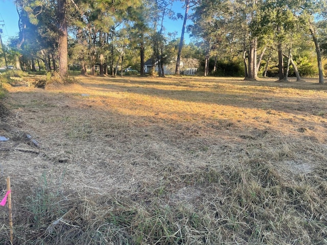 1515 Fm 517 E, Dickinson, TX 77539 - photo 1
