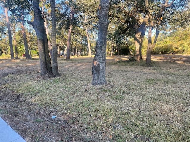1515 Fm 517 E, Dickinson, TX 77539 - photo 5