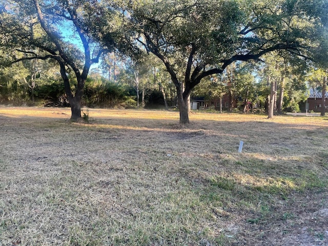 1515 Fm 517 E, Dickinson, TX 77539 - photo 6
