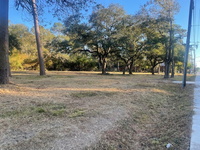 1515 Fm 517 E, Dickinson, TX 77539 - photo 7