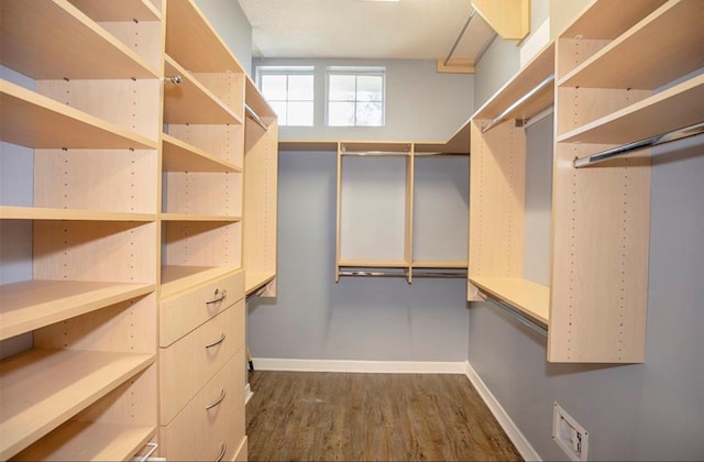 spacious closet with dark hardwood / wood-style flooring