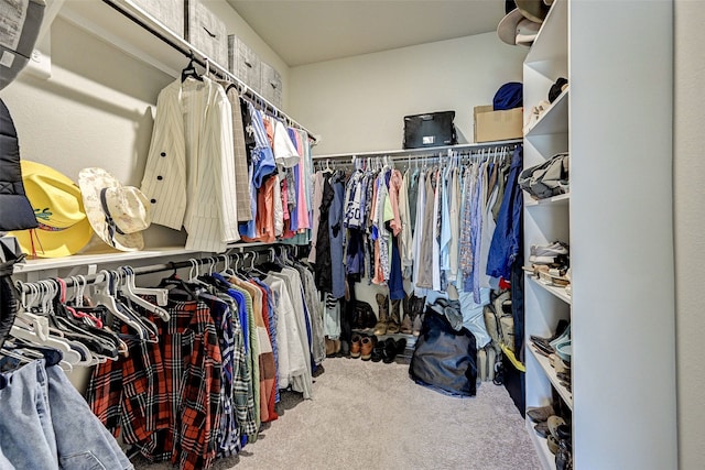 walk in closet with carpet floors