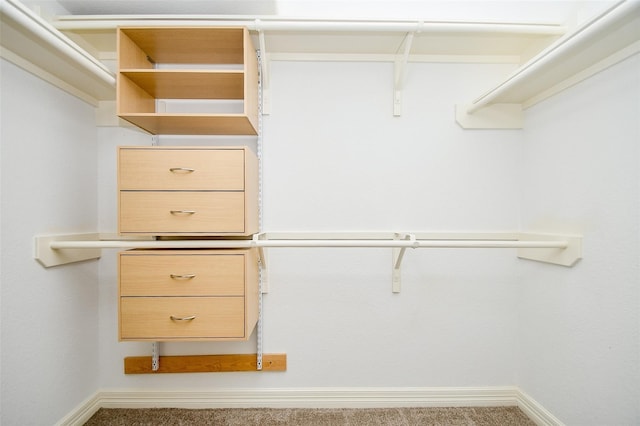 walk in closet featuring carpet floors