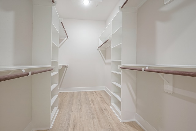 spacious closet with light wood-type flooring