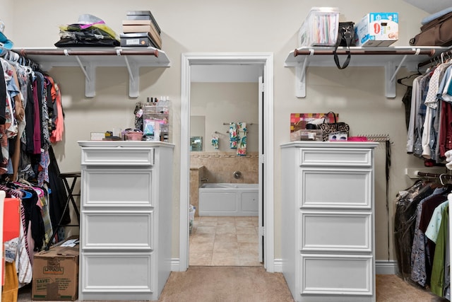 spacious closet with light carpet