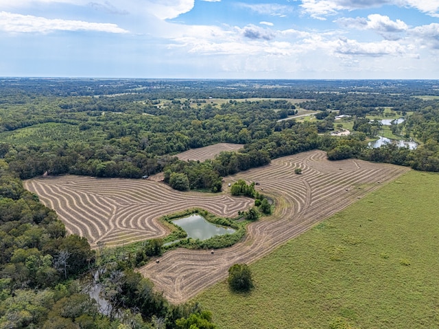 2602 N Fm 2429, Bellville, TX 77418 - photo 7