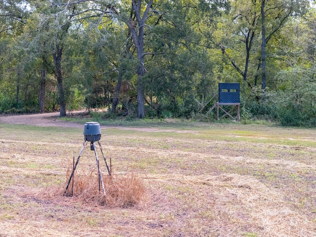 2602 N Fm 2429, Bellville, TX 77418 - photo 12
