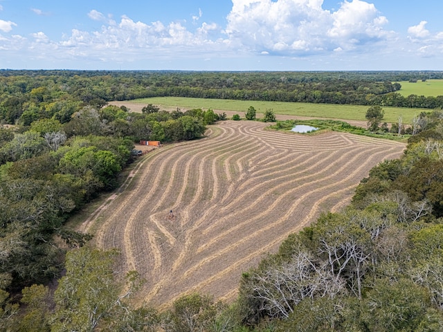 2602 N Fm 2429, Bellville, TX 77418 - photo 21