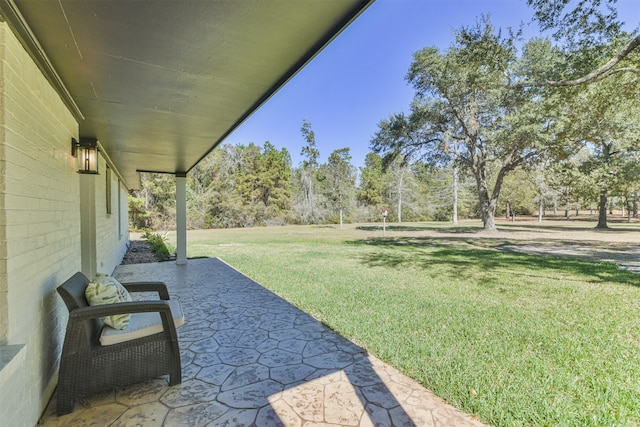 view of yard with a patio