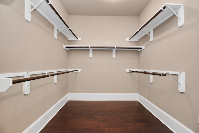 spacious closet with hardwood / wood-style flooring