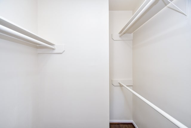 spacious closet featuring dark wood-type flooring