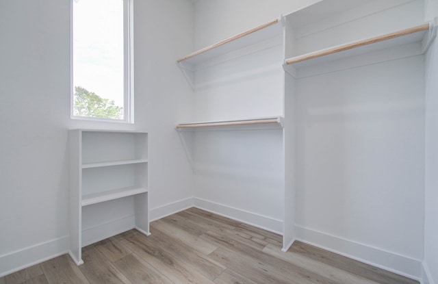 walk in closet with light wood-type flooring