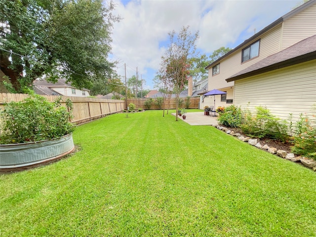 view of yard featuring a patio area