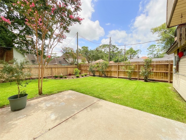 view of yard with a patio area