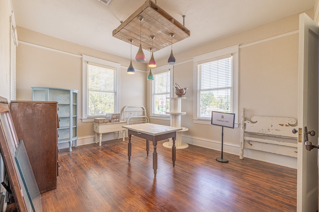 misc room with plenty of natural light and dark hardwood / wood-style floors