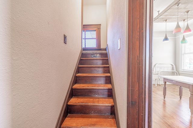 staircase with hardwood / wood-style floors