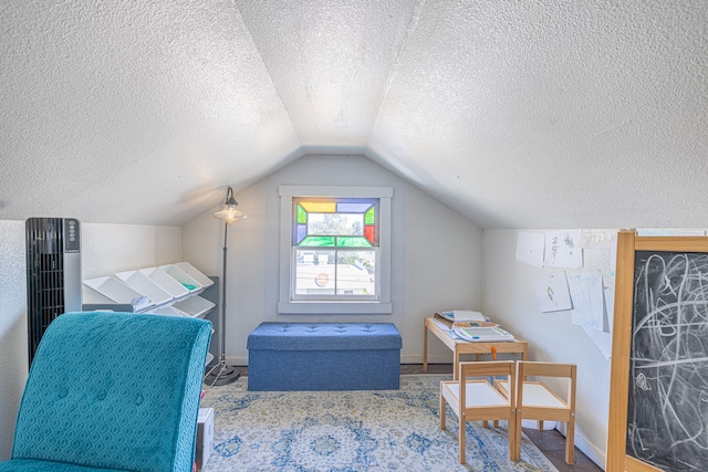 interior space featuring a textured ceiling and vaulted ceiling