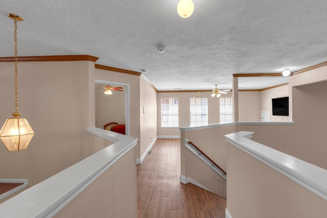 corridor featuring light hardwood / wood-style floors, crown molding, and a textured ceiling