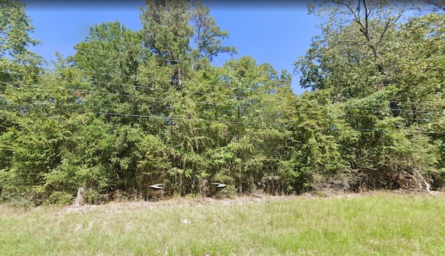 Listing photo 3 for tbd Redbud Ridge, Onalaska TX 77360