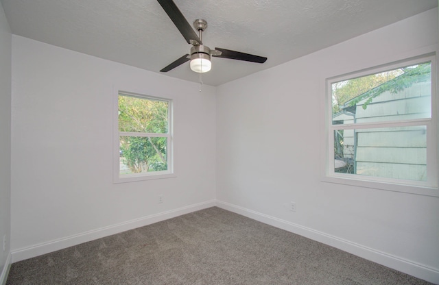 spare room featuring a textured ceiling, carpet, and a wealth of natural light