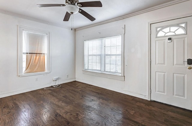 entrance foyer with a wealth of natural light, crown molding, ceiling fan, and dark wood-type flooring