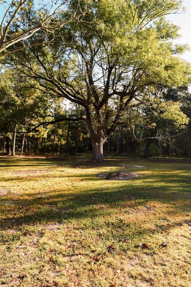 6304 Fm 563, Wallisville, TX 77597 - photo 3